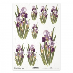 Papier ryżowy ITD A4 R0389